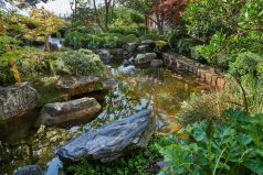 Inedite2022-Nature-Grimaldi.jpg